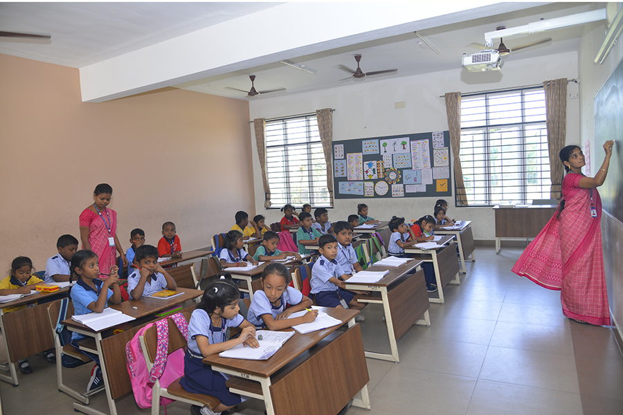 Curriculum